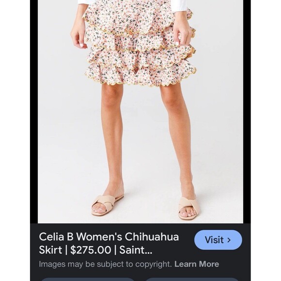 Celia B Chihuahua Midi Skirt Size S NWOT - Picture 9 of 9